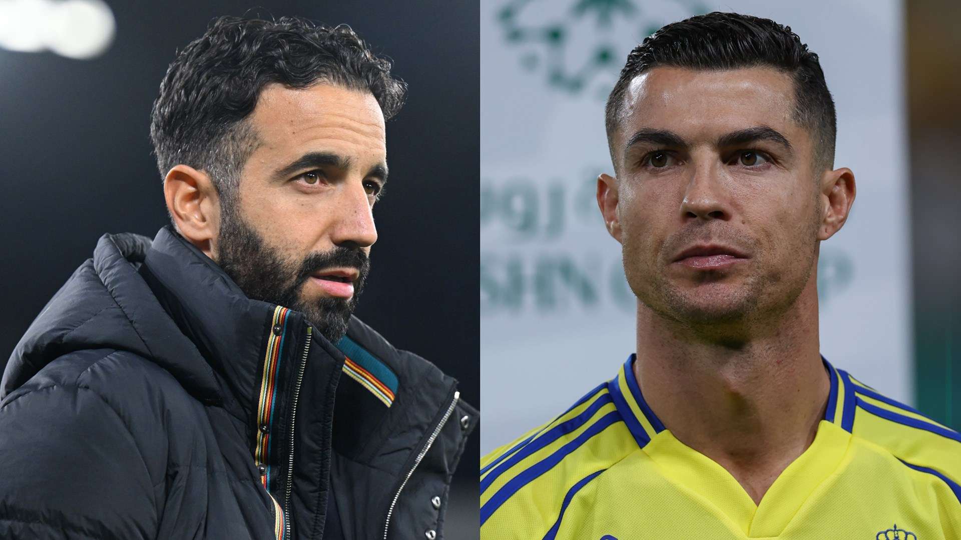 进行阵容的 进行阵容的