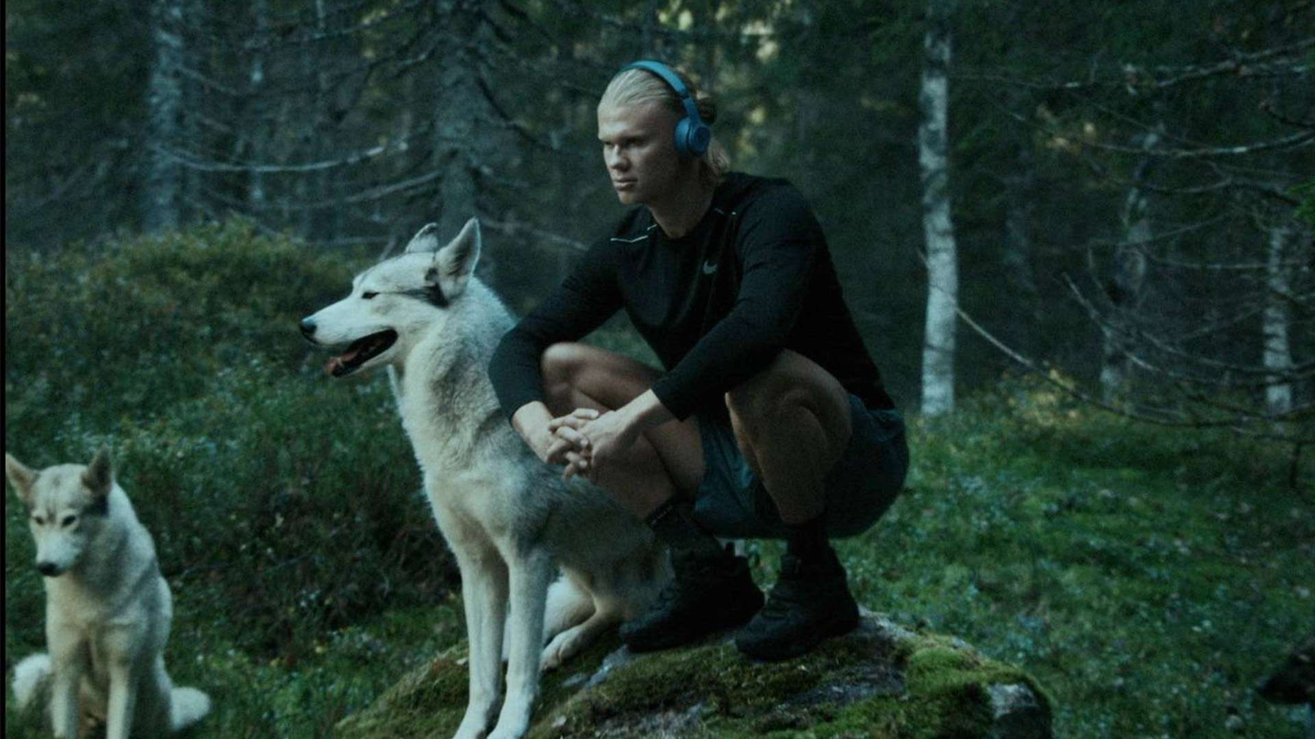 也带来了各 也带来了各